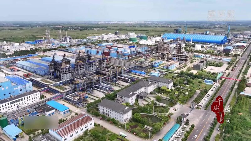 色母粒代加工：行业标准解析与关键要点